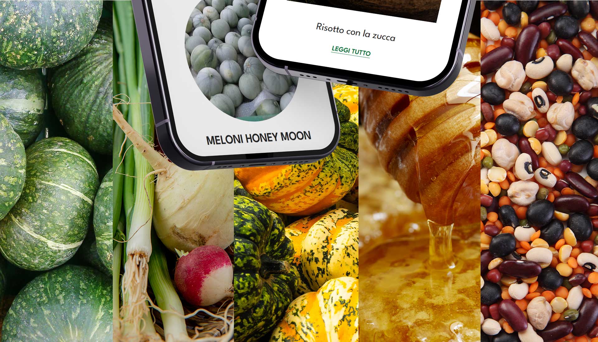 food-marketing-realizzazione-sito-web-agenzia-sviluppo-siti