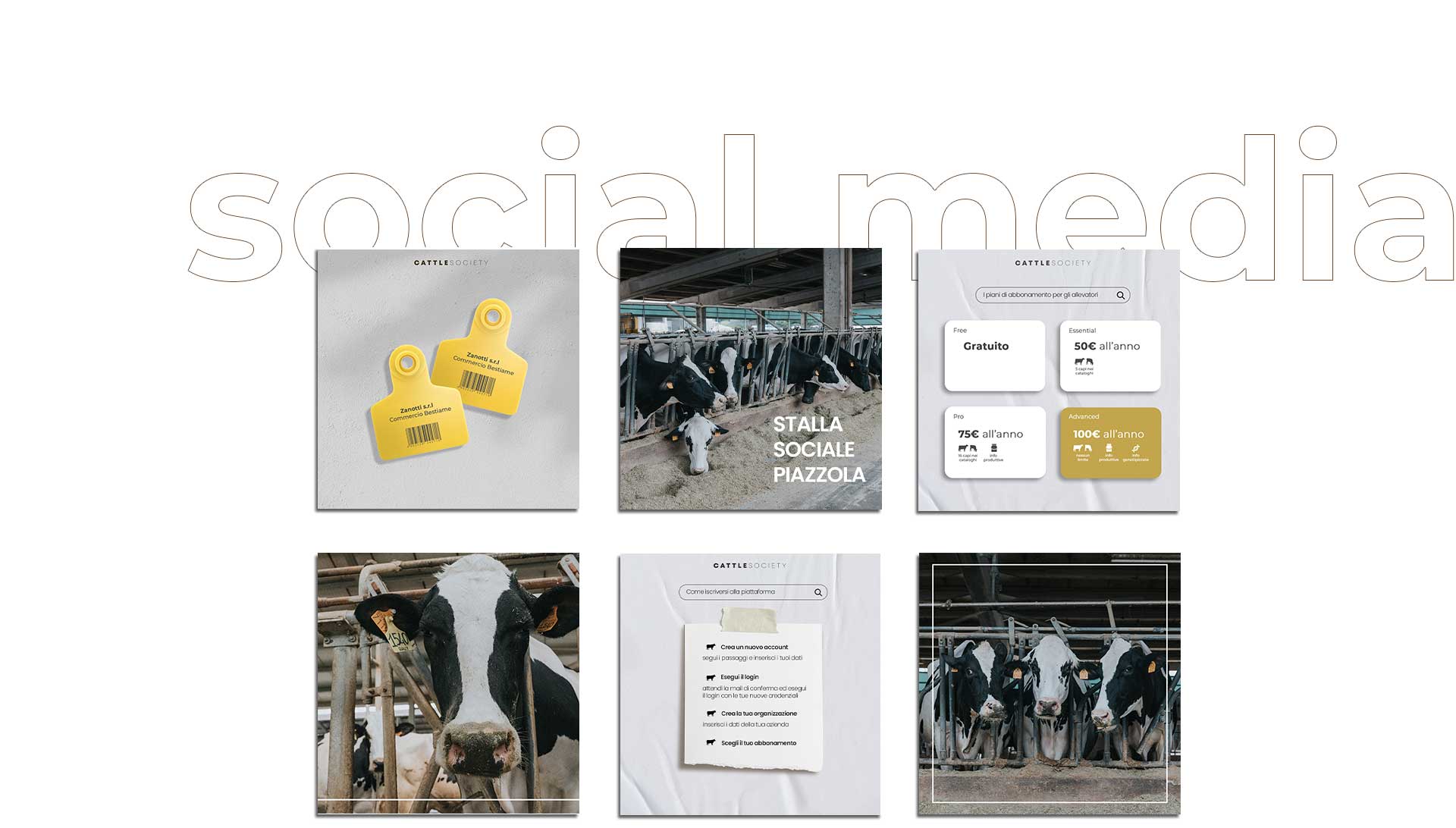 mockup-cattle_06