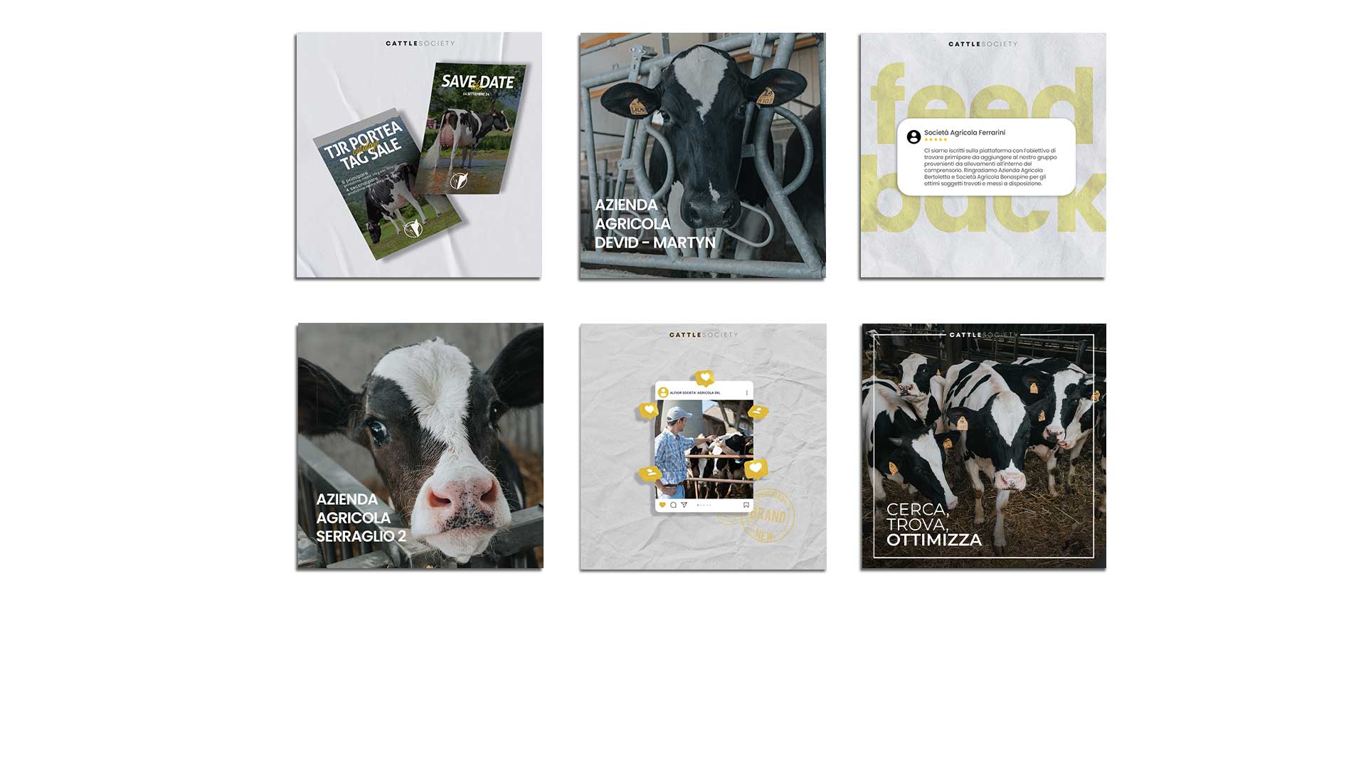 mockup-cattle_07