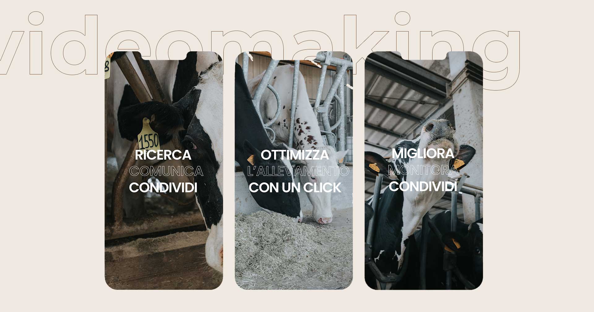 mockup-cattle_08