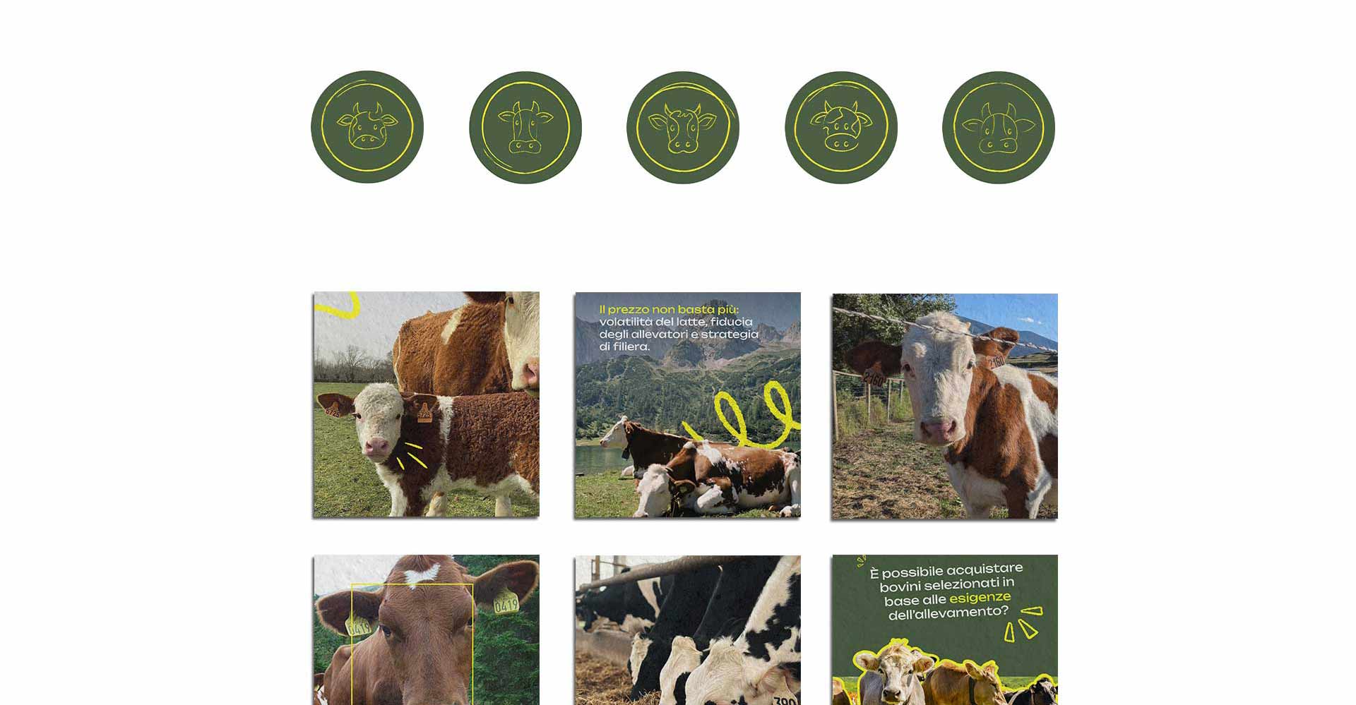 euroholstein_social